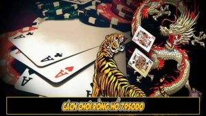 Cách chơi Rồng Hổ 79sodo