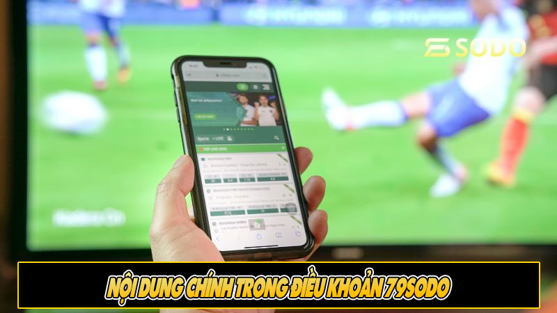 Nội dung chính trong Điều khoản 79sodo